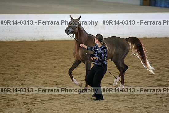 Proof 09r14-0313