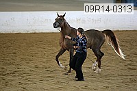 09r14-0313 proof