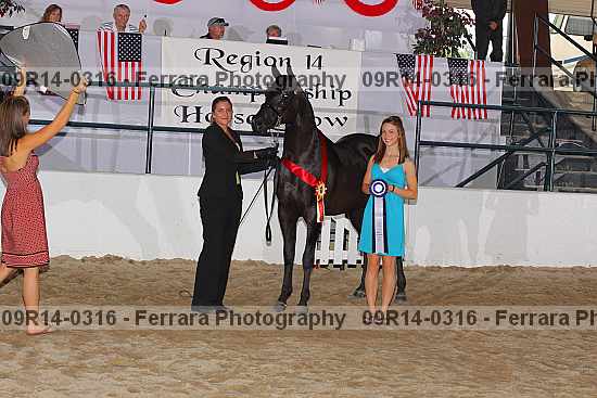 Proof 09r14-0316