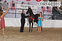 09r14-0316 proof