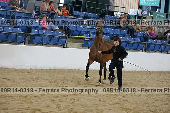 Proof 09r14-0318
