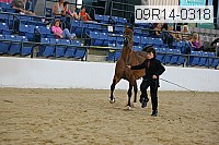 09r14-0318 proof