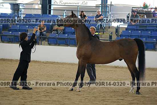 Proof 09r14-0320
