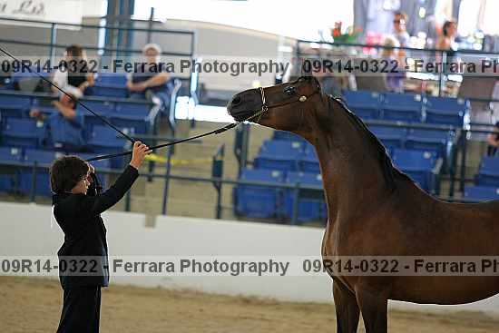 Proof 09r14-0322