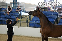 09r14-0322 proof