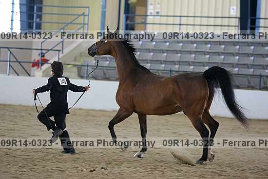 Proof 09r14-0323