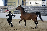 09r14-0323 proof