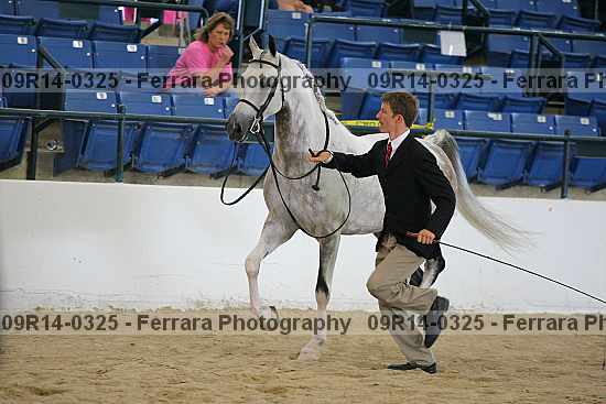 Proof 09r14-0325