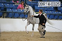 09r14-0325 proof