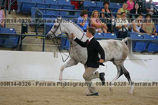 Proof 09r14-0326