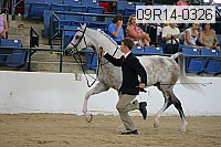 09r14-0326 proof