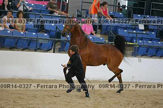 Proof 09r14-0327