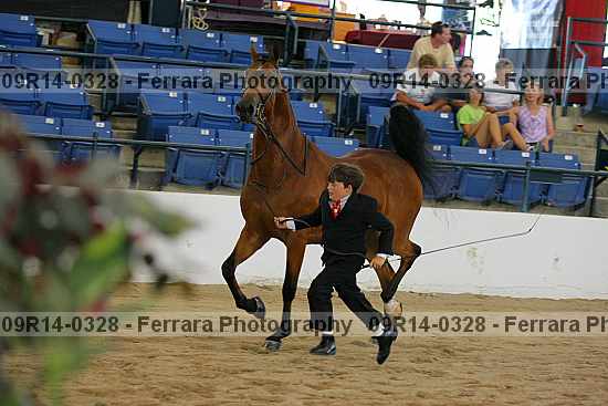 Proof 09r14-0328