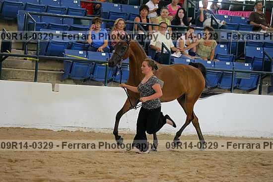 Proof 09r14-0329
