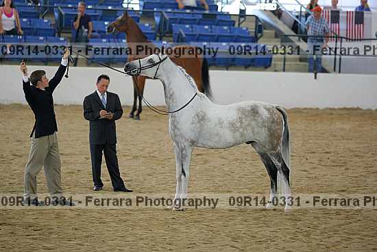 Proof 09r14-0331