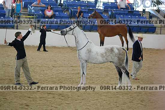 Proof 09r14-0332