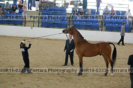 Proof 09r14-0333