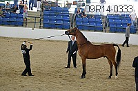 09r14-0333 proof