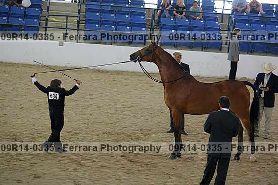 Proof 09r14-0335