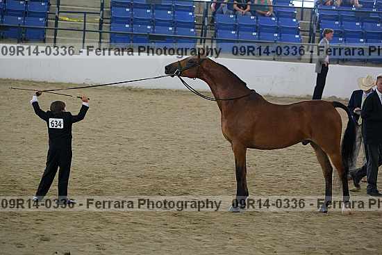 Proof 09r14-0336
