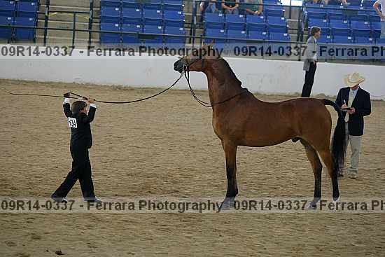 Proof 09r14-0337