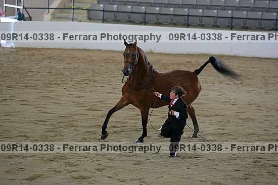 Proof 09r14-0338