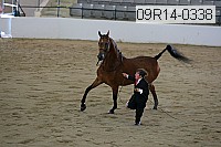 09r14-0338 proof