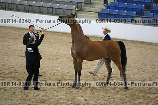 Proof 09r14-0340