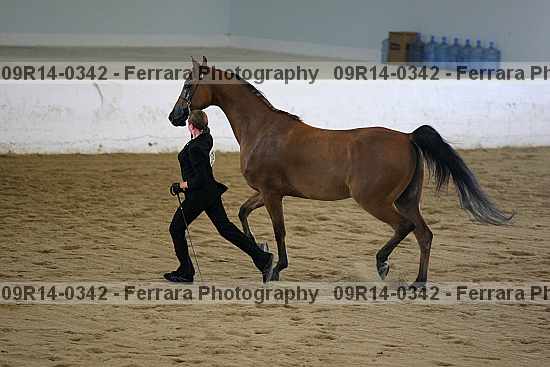 Proof 09r14-0342
