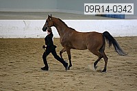 09r14-0342 proof