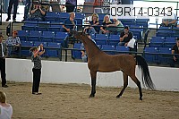 09r14-0343 proof