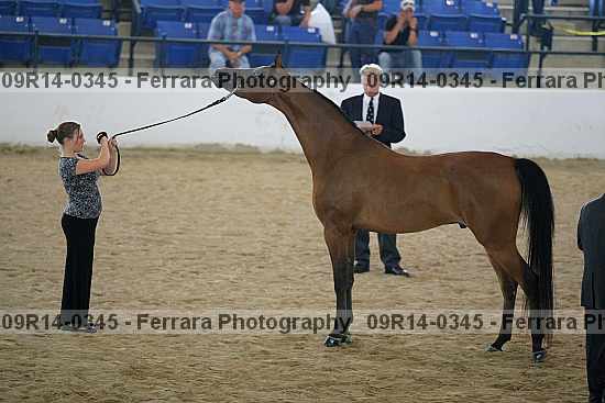 Proof 09r14-0345
