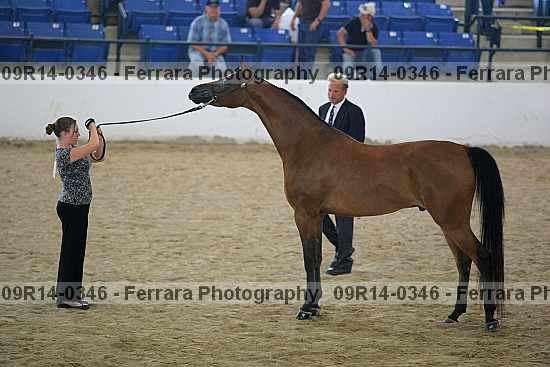 Proof 09r14-0346