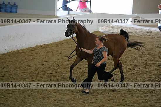 Proof 09r14-0347
