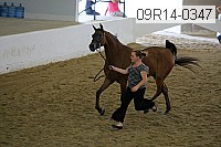 09r14-0347 proof
