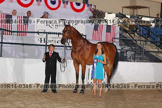 Proof 09r14-0349