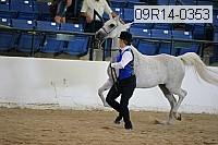 09r14-0353 proof