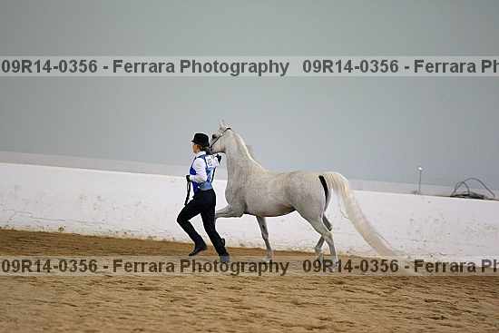 Proof 09r14-0356