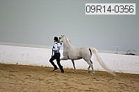 09r14-0356 proof