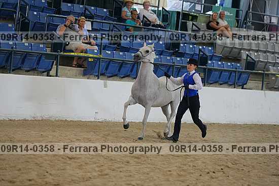 Proof 09r14-0358