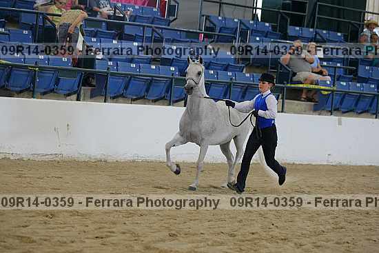 Proof 09r14-0359