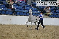 09r14-0359 proof