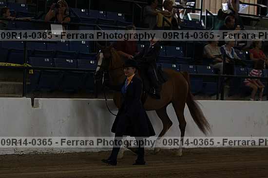 Proof 09r14-0365