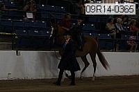 09r14-0365 proof