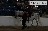 09r14-0372 proof