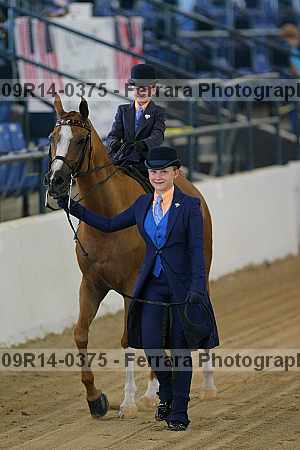 Proof 09r14-0375