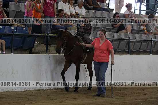 Proof 09r14-0381