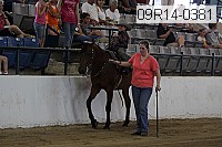 09r14-0381 proof