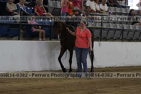 Proof 09r14-0382