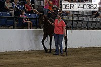 09r14-0382 proof